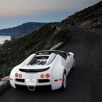 Nakonec Bugatti vyrobilo 450 kusů Veyronu ve všech různých modifikacích.