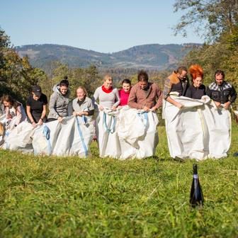 Střítežské fojtství