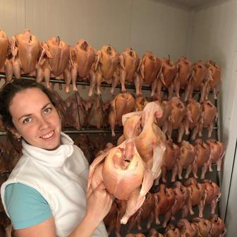 Střítežské fojtství