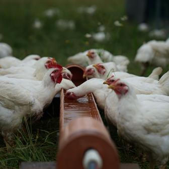 Střítežské fojtství