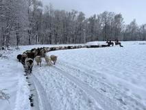 Střítežské fojtství