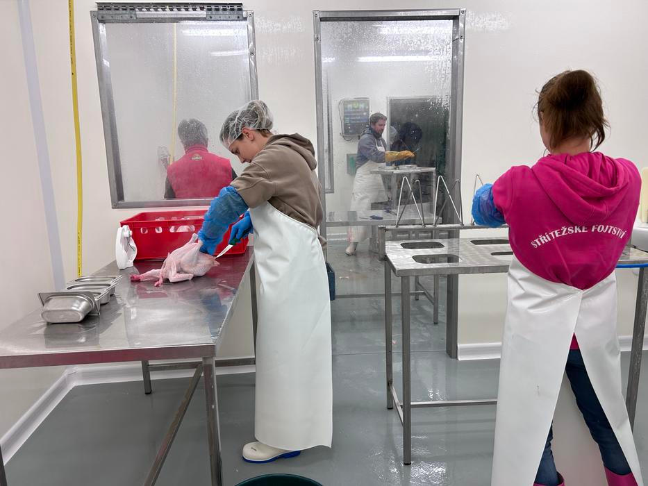 Střítežské fojtství