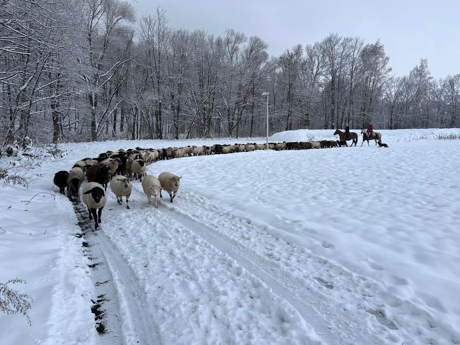 Střítežské fojtství