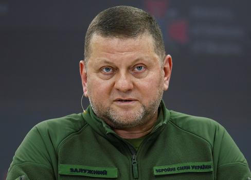 Ukrajina Zalužnyj