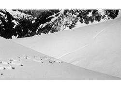 Údajné stopy Yettiho vyfotografované Frankem S. Smythem v roce 1937 v Himálaji, publikováno v Popular Science 1952. Expertíza ukázala, že šlo o stopy medvěda.