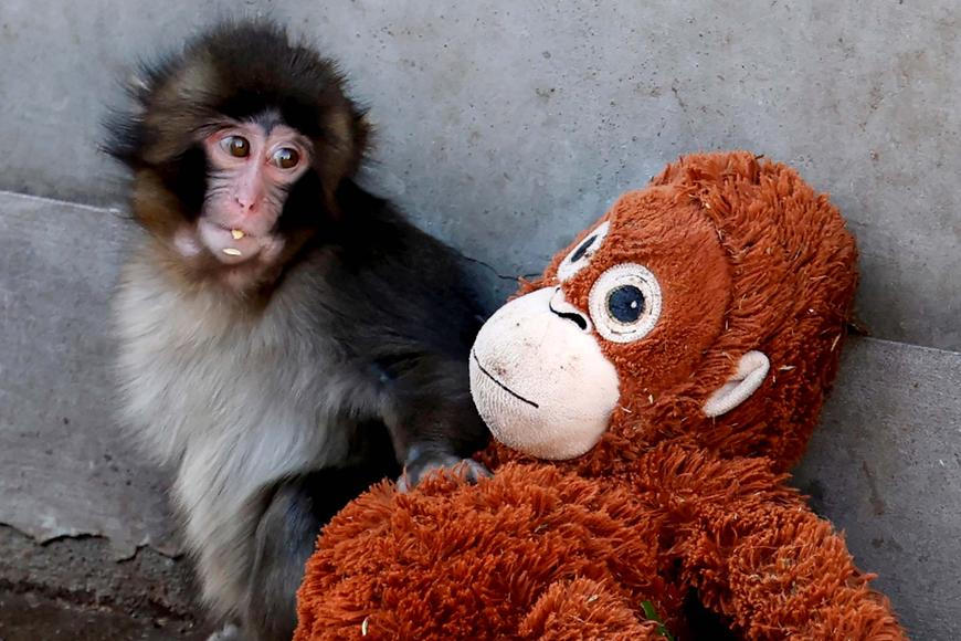 Škoda tyhle fotky minout: Punch hrdinou, sněhové inferno nebo finále po 100 letech