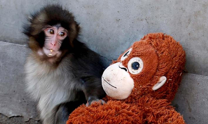 Škoda tyhle fotky minout: Punch hrdinou, sněhové inferno nebo finále po 100 letech