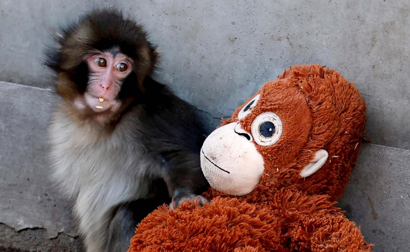 Škoda tyhle fotky minout: Punch hrdinou, sněhové inferno nebo finále po 100 letech