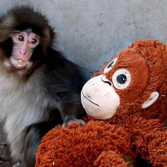 Škoda tyhle fotky minout: Punch hrdinou, sněhové inferno nebo finále po 100 letech