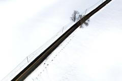 Škoda tyhle fotky minout: Punch hrdinou, sněhové inferno nebo finále po 100 letech