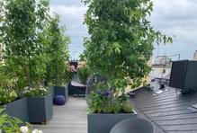 Zatímco podzim patří úklidu a zima ochraně citlivých rostlin, právě jaro znamená skutečný start nesnadné, ale milované práce na zahradě. Kdy však přesně začíná hlavní sezona zahradničení? 