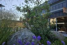 „Ve chvíli, kdy se denní teploty vyšplhají nad nulu a zahrada se probouzí,“ míní zahradní architektka a bývalá miss i televizní moderátorka.