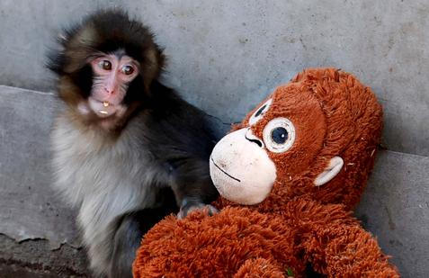 Škoda tyhle fotky minout: Punch hrdinou, sněhové inferno nebo finále po 100 letech