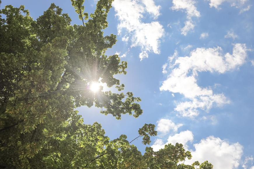 Česko čeká změna počasí. Dočkáme se jarních teplot a slunečných dní?