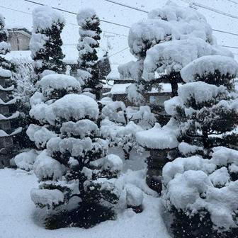 „Nemuseli jsme nic zásadního bourat, jen kuchyň šla úplně pryč,“ doplňuje Laura. Čekaly je tak spíš drobnější úpravy: opravovali japonské omítky shikkui, brousili a olejovali dřevo, zachovali původní tatami i nábytek. 