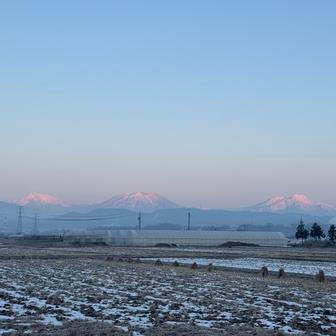 Výsledek ale stojí za to. „Celou kuchyň vyrobil prakticky na koleni a jeho největší pýchou je masivní jídelní stůl, který dnes dominuje hlavní místnosti. Těžký, poctivý kus dřeva, u kterého se potkávají hosté z různých koutů světa. Ten pochválil snad úplně každý,“ říká hrdě Laura. 