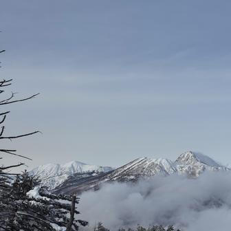 Slovenského kutila zastavila až realita japonských železářství. „Bylo zábavné mu vysvětlit, že se tu nedají sehnat věci jako v Evropě. A že se navíc nejmenují stejně,“ směje se Laura. „Jednou v obchodě zadal do překladače ze slovenštiny do japonštiny větu: ‚Máte flexu?‘ A prodavač jen nechápavě koukal. Tak to zkusil po svém pěkně slovensky: ‚Flexa? Flexka?‘“ I taková jazyková improvizace nakonec patřila k procesu.