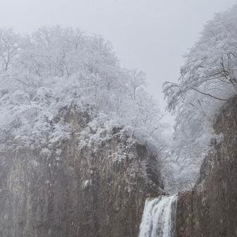 Možná i proto jim dnes hosté často říkají, že být u nich ubytovaný je pro ně ten vůbec „nejjaponštější zážitek v celém Japonsku“. Laura se tomu směje. „A přitom nejsme Japonci.“