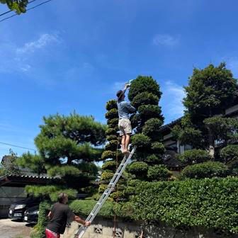 Radili jim, jak pečovat o zahradu, jak se chovat při místních svátcích, co se sluší a nesluší. 