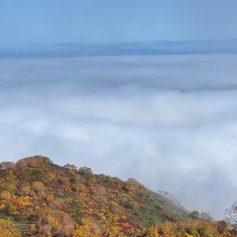 Vztahy se budovaly pomalu. Sousedka odnaproti nejdřív jen odpovídala na pozdrav, pak čas od času donesla Lauře a Adamovi nějakou zeleninu. 