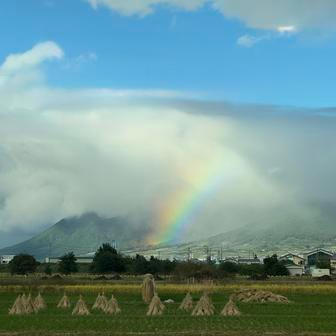 „Paní sousedka neumí anglicky a naše japonština nestačí na běžnou konverzaci. Tak jsem se naučila aspoň základní hiraganu a nechávali jsme jí vzkazy: ‚Vánoční sušenky od Laury a Adama‘ a podobně. 