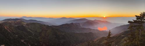 Když pak Laura s Adamem sázeli první sakuru, zašli k sousedům rovnou pro radu.