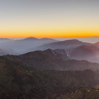 Když pak Laura s Adamem sázeli první sakuru, zašli k sousedům rovnou pro radu.