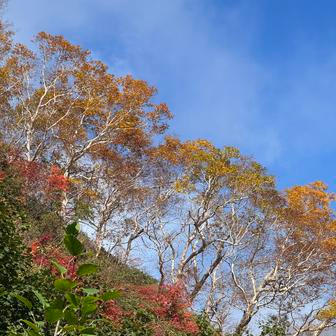 Rekonstrukce, navazování nových vztahů a budování společného snu směřovaly k jedinému cíli: ubytovat pod vlastní střechou první hosty. 