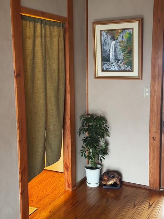 V Japonsku jich přibývá, mladí lidé odcházejí do měst, venkov stárne. 