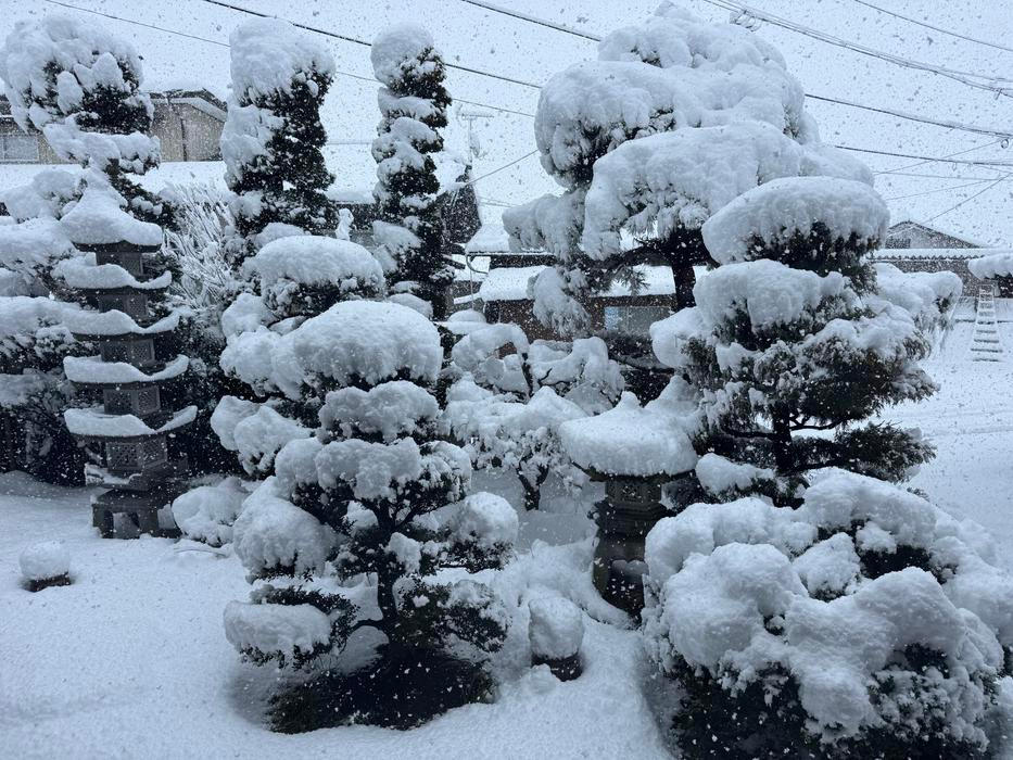 „Nemuseli jsme nic zásadního bourat, jen kuchyň šla úplně pryč,“ doplňuje Laura. Čekaly je tak spíš drobnější úpravy: opravovali japonské omítky shikkui, brousili a olejovali dřevo, zachovali původní tatami i nábytek. 
