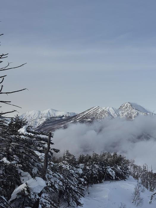 Slovenského kutila zastavila až realita japonských železářství. „Bylo zábavné mu vysvětlit, že se tu nedají sehnat věci jako v Evropě. A že se navíc nejmenují stejně,“ směje se Laura. „Jednou v obchodě zadal do překladače ze slovenštiny do japonštiny větu: ‚Máte flexu?‘ A prodavač jen nechápavě koukal. Tak to zkusil po svém pěkně slovensky: ‚Flexa? Flexka?‘“ I taková jazyková improvizace nakonec patřila k procesu.