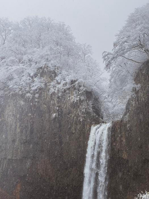 Možná i proto jim dnes hosté často říkají, že být u nich ubytovaný je pro ně ten vůbec „nejjaponštější zážitek v celém Japonsku“. Laura se tomu směje. „A přitom nejsme Japonci.“