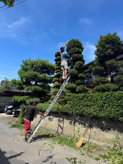 Radili jim, jak pečovat o zahradu, jak se chovat při místních svátcích, co se sluší a nesluší. 