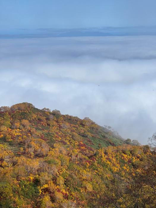 Vztahy se budovaly pomalu. Sousedka odnaproti nejdřív jen odpovídala na pozdrav, pak čas od času donesla Lauře a Adamovi nějakou zeleninu. 