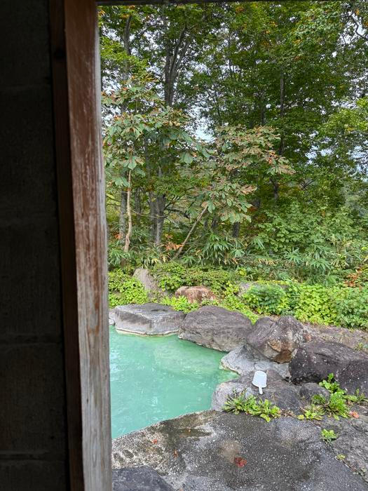  Když pak pár konečně zprovoznil kuchyň, oplácela Laura koláči a domácím chlebem.