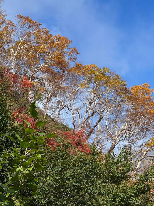 Rekonstrukce, navazování nových vztahů a budování společného snu směřovaly k jedinému cíli: ubytovat pod vlastní střechou první hosty. 