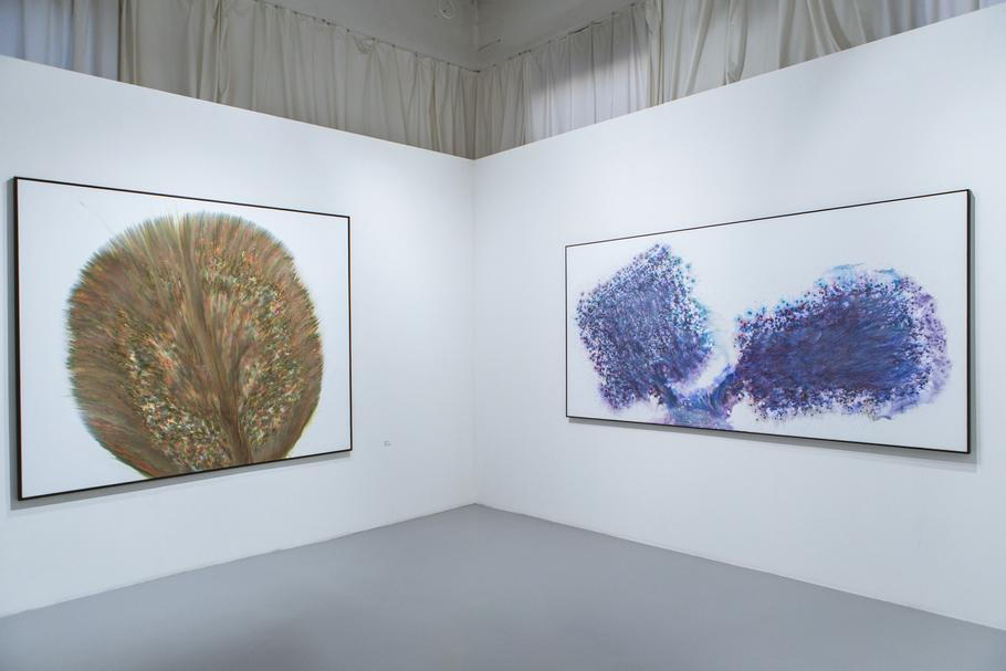 Z výstavy obrazů Jakuba Roztočila s názvem Studie polymerových srážek. 