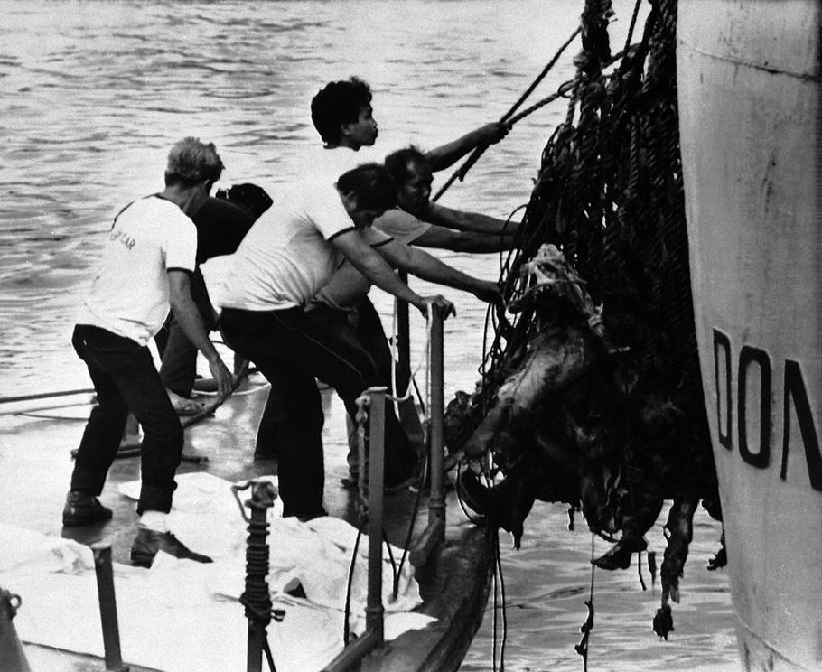Příslušníci filipínské pobřežní stráže vykládají těla obětí katastrofy trajektu Doña Paz. Severní přístav v Manile, Filipíny, 23. prosince 1987.