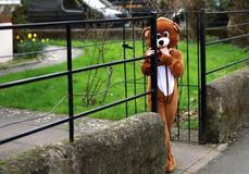 Purim ve stínu války: biblický příběh královny Ester se vrací  