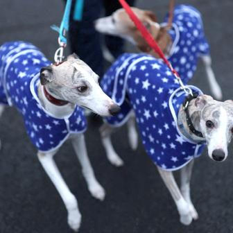 Škoda tyhle fotky minout: záchrana v oblacích, cyberwoman nebo psí oči