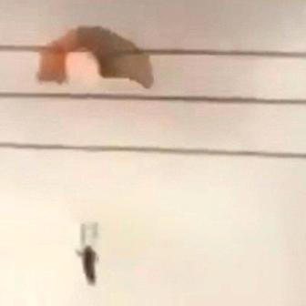 Škoda tyhle fotky minout: záchrana v oblacích, cyberwoman nebo psí oči