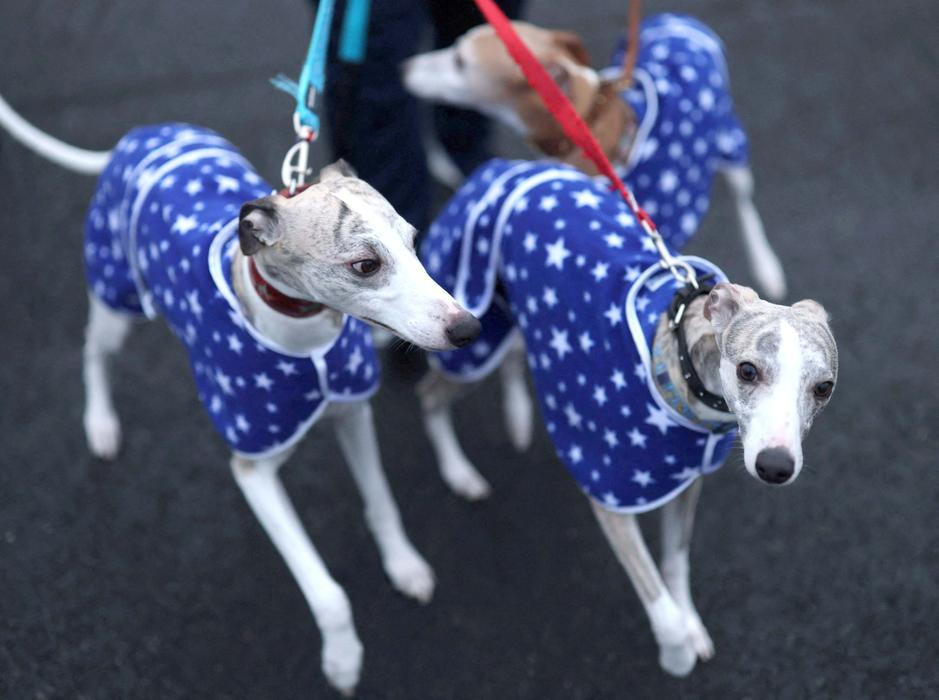 Škoda tyhle fotky minout: záchrana v oblacích, cyberwoman nebo psí oči