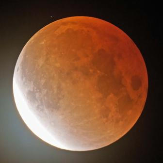 Škoda tyhle fotky minout: záchrana v oblacích, cyberwoman nebo psí oči