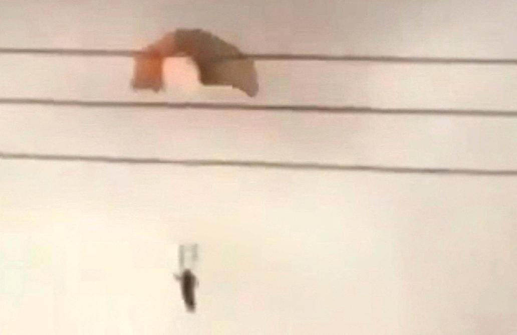 Škoda tyhle fotky minout: záchrana v oblacích, cyberwoman nebo psí oči