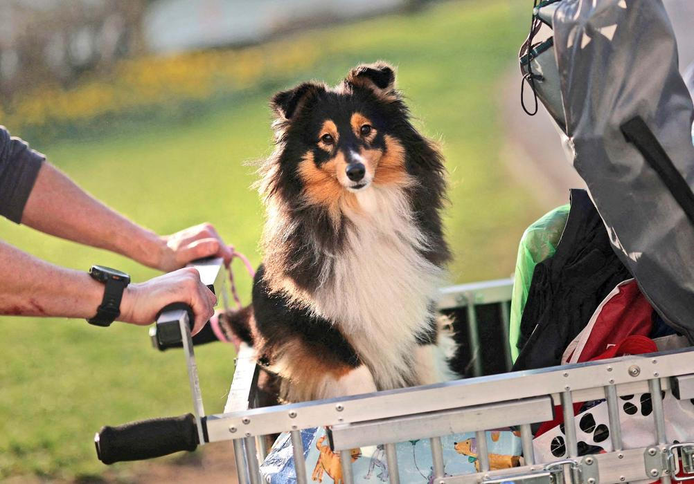Škoda tyhle fotky minout: záchrana v oblacích, cyberwoman nebo psí oči