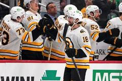 Bruins Penguins Hockey