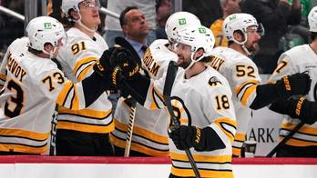 Bruins Penguins Hockey