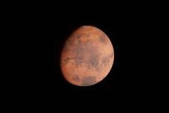 Extrémně odolné bakterie v laboratoři přežily tlak srovnatelný s tím, jaký vzniká při dopadu asteroidu na Mars. Výsledek tak oživuje hypotézu, že dopady asteroidů mohly umožnit mikrobům „přeskakovat“ mezi planetami.