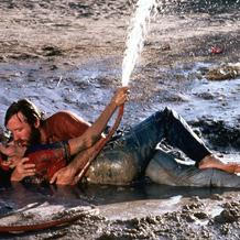 Chuck Norris