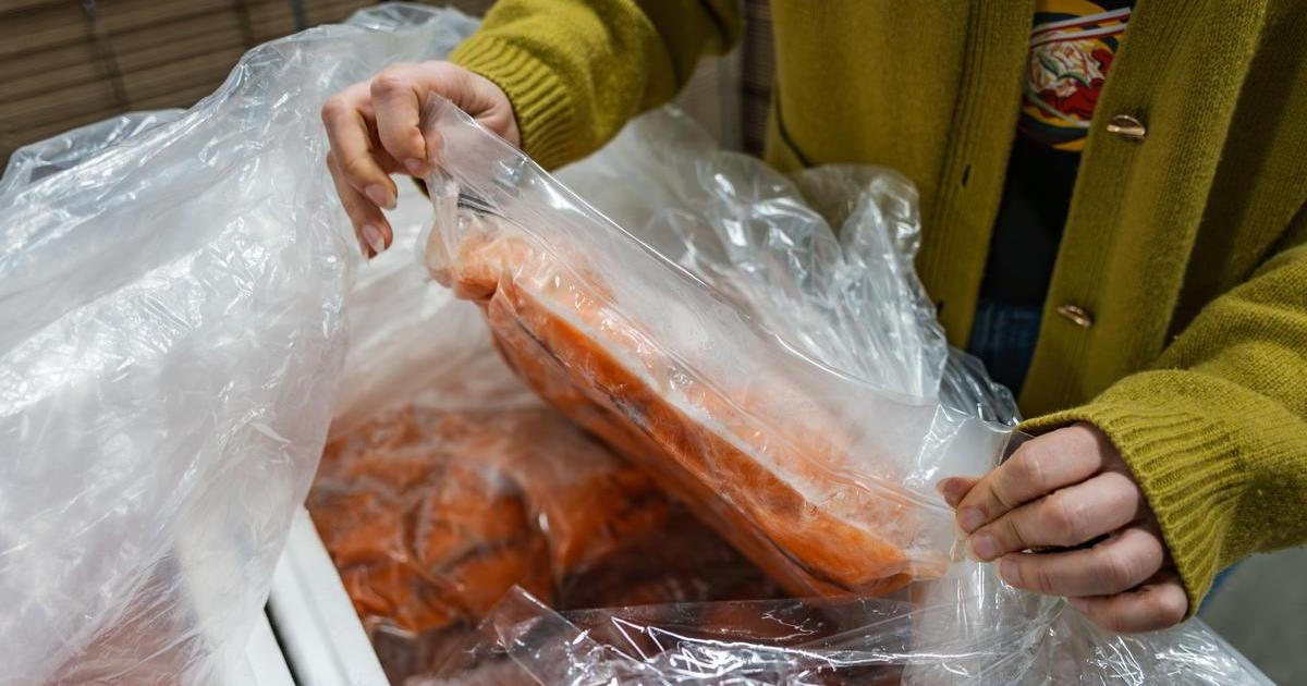 Panika kvůli „prošlým“ rybám pro české děti? Po banální chybě přišla nečekaná pomsta